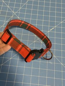 Buckle Collar ~ Med/Lg 15-21"